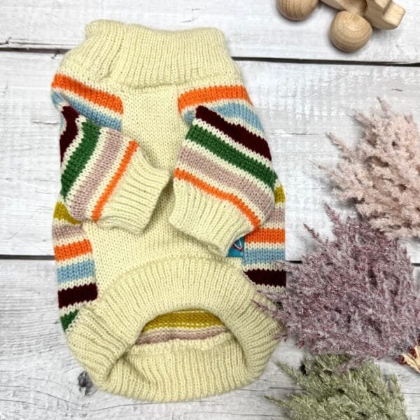 Colour Stripped Knitted Dog Jumper Front