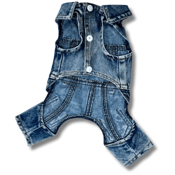 Full Denim Dog Jacket with Jeans 'Biker Style' Front