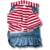 Small Dog Denim Summer Dress with Strip Hoodie Front