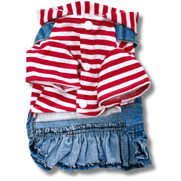 Small Dog Denim Summer Dress with Strip Hoodie Front
