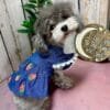 Blue Denim Dog Summer Dress Alt Blue Denim Dog Summer Dress Alt