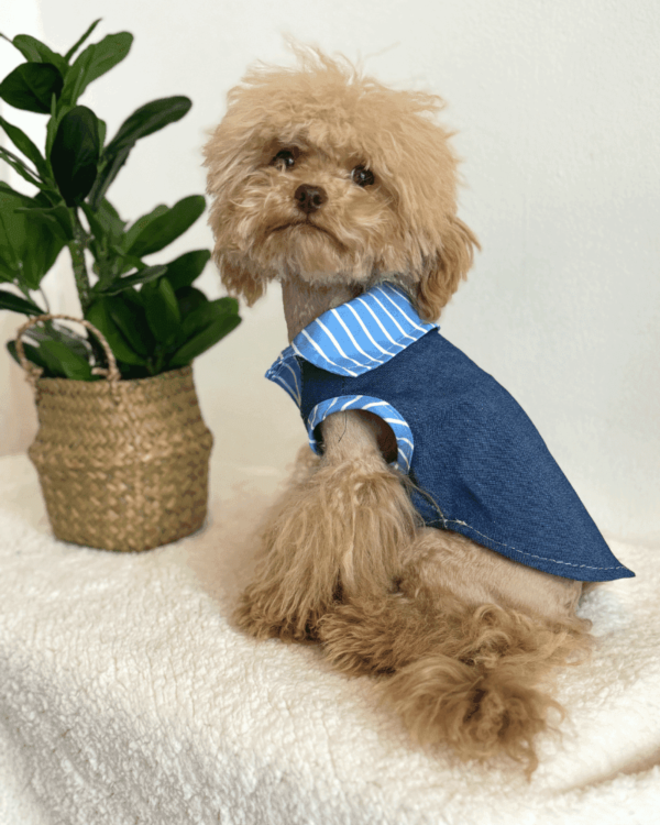 Blue Stripe Denim Shirt 1 Blue Stripe Denim Shirt 1