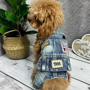 Denim Dog Jacket with Jeans ‘Biker Style’ Alt
