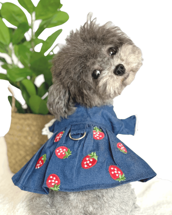 Denim Dress with Embroidered Strawberries Blue Denim Summer Dress with Embroidered Strawberries, from Puppy Clothes