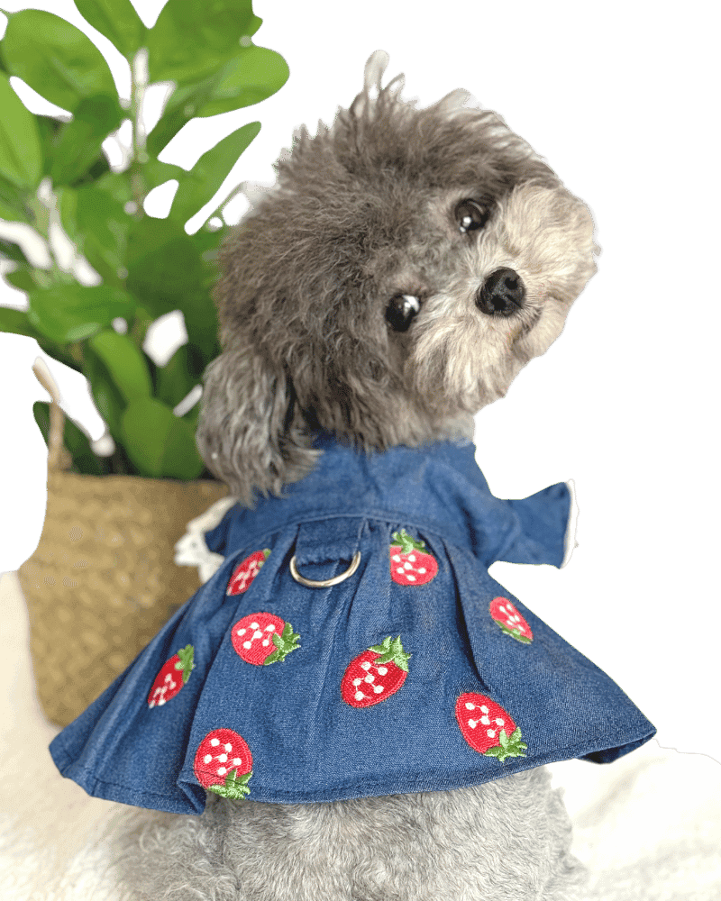 Blue Denim Summer Dress with Embroidered Strawberries, from Puppy Clothes