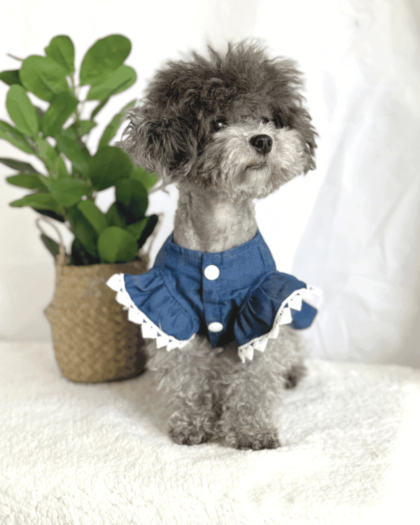 Denim Dress with Embroidered Strawberries 1 Blue Denim Dog Summer Dress