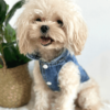 Simple Denim Dog Shirt