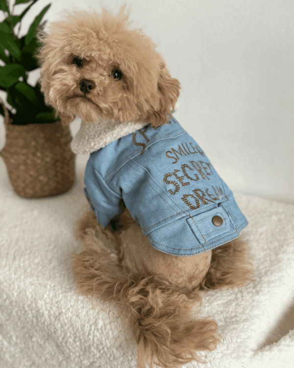 Small Dog Fleece Collar Jacket