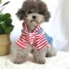 Denim Strap Dress with Red and White Striped Hoodie 2 Small Dog Denim Summer Dress with Hoodie