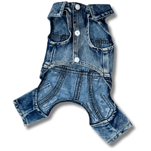 Full Denim Dog Jacket with Jeans 'Biker Style' Front Full Denim Dog Jacket with Jeans 'Biker Style' Front