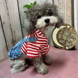 Small Dog Denim Summer Dress with Hoodie Alt