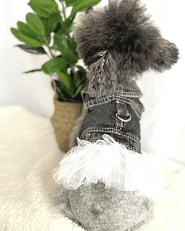 Collar Black Denim Dress with Frills 1 Collar Black Denim Dress with Frills