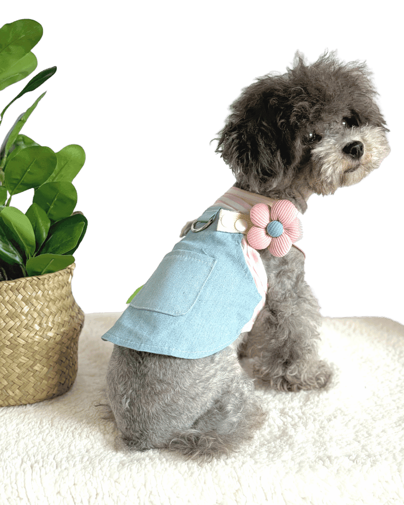 Poodle wearing Pretty Summer Adjustable Dog Dress with a pink and white striped T-shirt pretty fluffy flower on adjustable strap and green leaf sown on pocket and Lead attachment, from Puppy Clothes