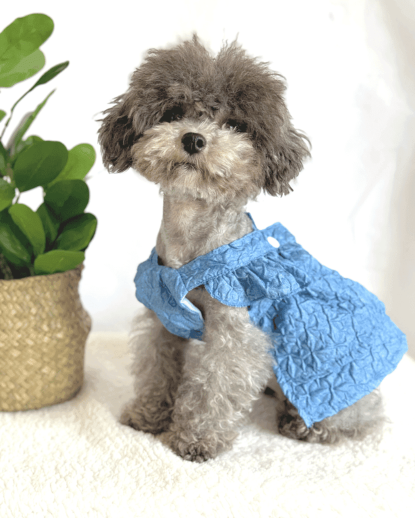 Denim Embossed Style Dress 1 Small Dog Hand Made Denim Dress