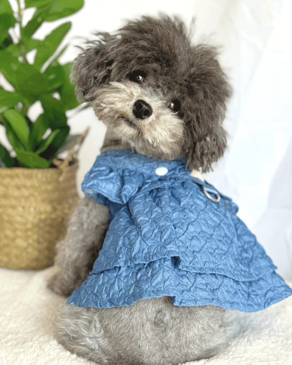 Denim Embossed Style Dress 2 Small Dog Hand Made Denim Dress
