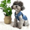 Poodle wearing Blue Denim Dog Jacket with collars and buttons, from Puppy Clothes