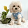 Denim Jacket with Teddy Print Hoodie 3 Denim Dog Jacket with Hoodie