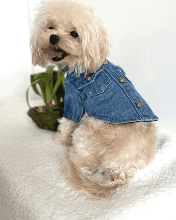 Denim Shirt with Pockets and Gold Buttons 1 Denim Shirt with Pockets and Gold Buttons 1