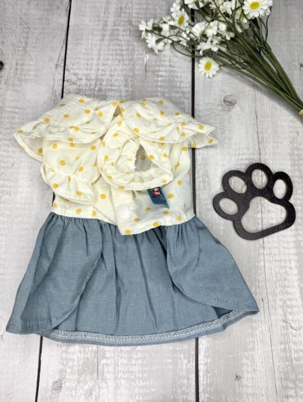 Denim Style Summer Dog Dress Front Pic Denim Style Summer Dog Dress Front Pic