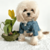 Designer Style Denim Jacket 2 Designer Style Dog Jacket