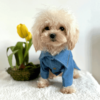 Denim 'Printed' Dog Jacket