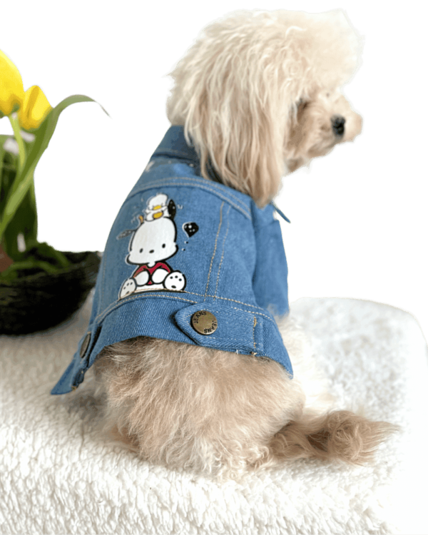 Maltipoo wearing Long Denim 'Printed' Dog Jacket with Hoodie, from Puppy Clothes