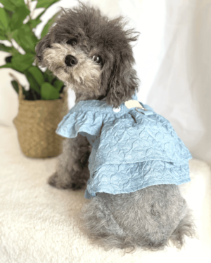 Light Denim Embossed Style Dress