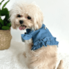 Summer Light Blue Dog Blouse