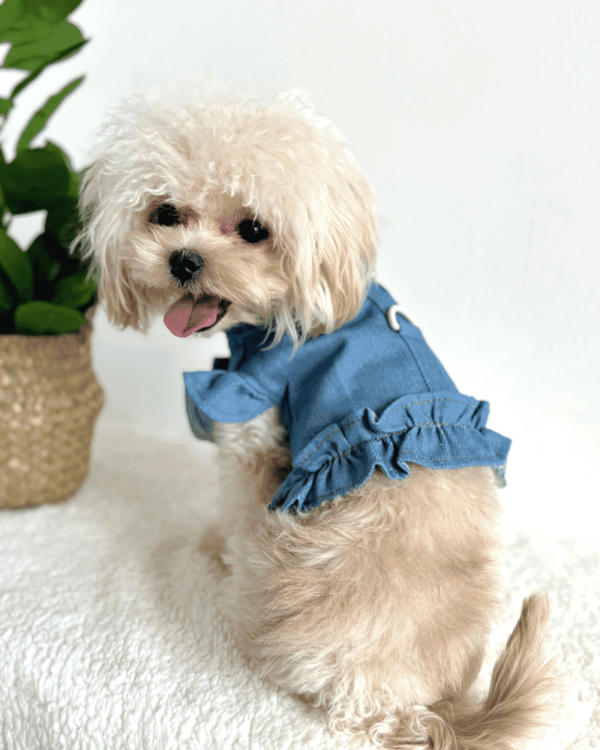 Summer Light Blue Dog Blouse