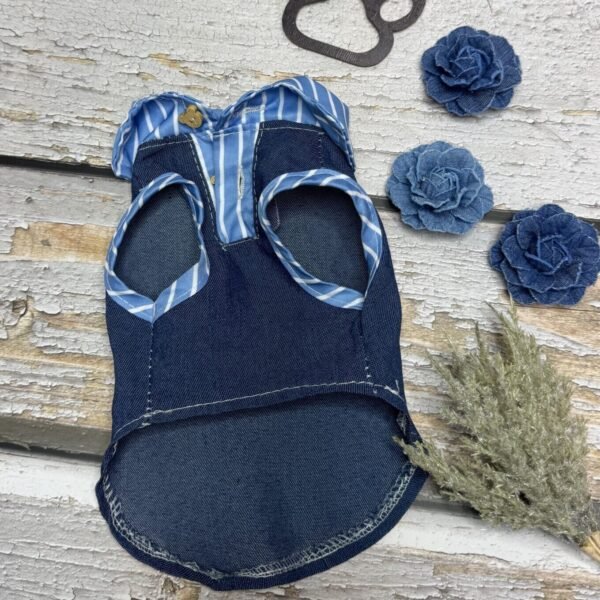 Blue Stripe Summer Shirt F Blue Stripe Summer Shirt Front Pic