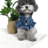 Poodle wearing Summer Denim Dog Blouse, from Puppy Clothes