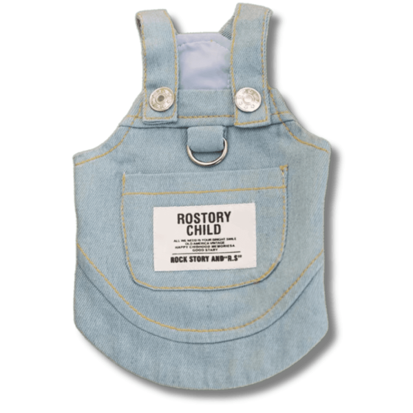 XXS 'Rostory Child' Denim Dog Dress Back