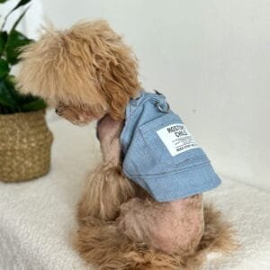 XXS 'Rostory Child' Dog Dress Alt