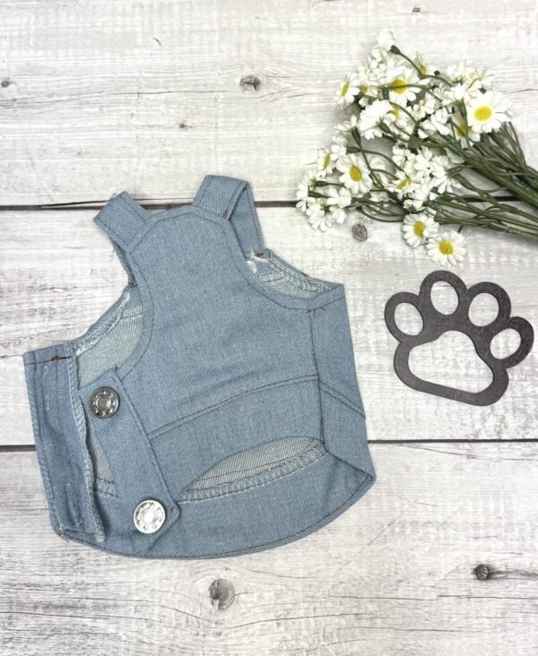 XXS 'Rostory Child' Dog Dress Front Pic