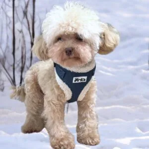 Denim with Fleece Dog Harness Alt