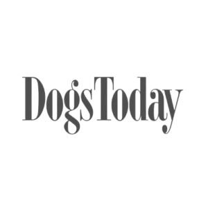 Dogs Today Logo