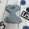 Light Denim Adjustable Dog Harness Front Pic