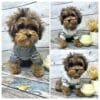 Cosy Knitted Dog Jumper Alt Cosy Knitted Dog Jumper Alt