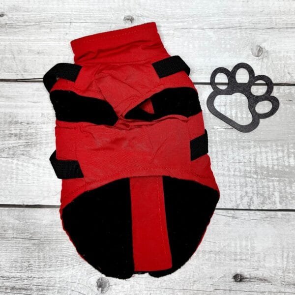 Outdoor Dog Jacket Red Front