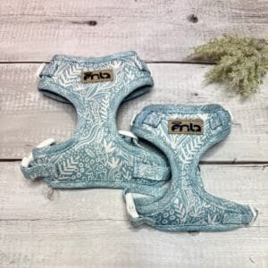 Spring Blue Harness Front