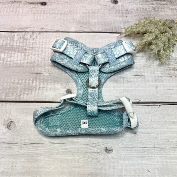 Spring Blue XXS Harness Back Spring Blue XXS Harness Back
