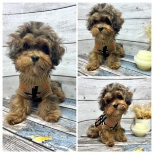 Tartan Knitted Dog Jumper Alt