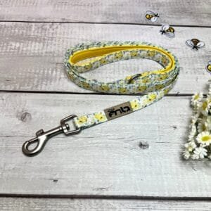 Yellow Spring Dog Lead