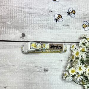 Yellow Spring XS Collar