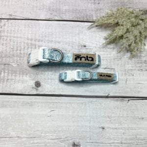 Spring Blue Collars Front Spring Blue Collars Front