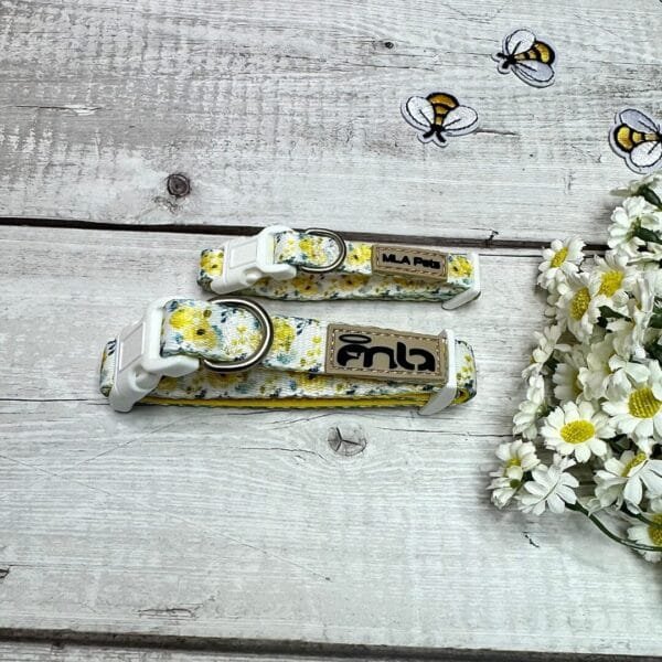 Yellow Spring Dog Collar